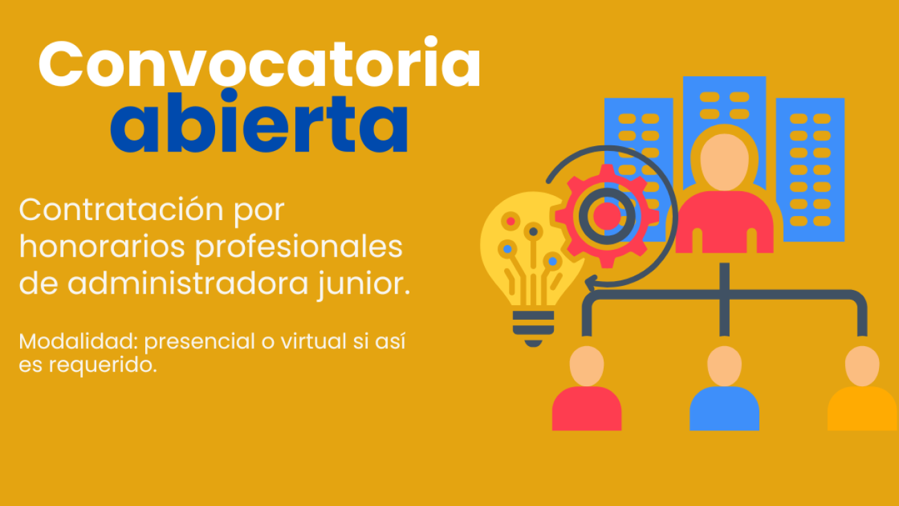 Administradora Junior